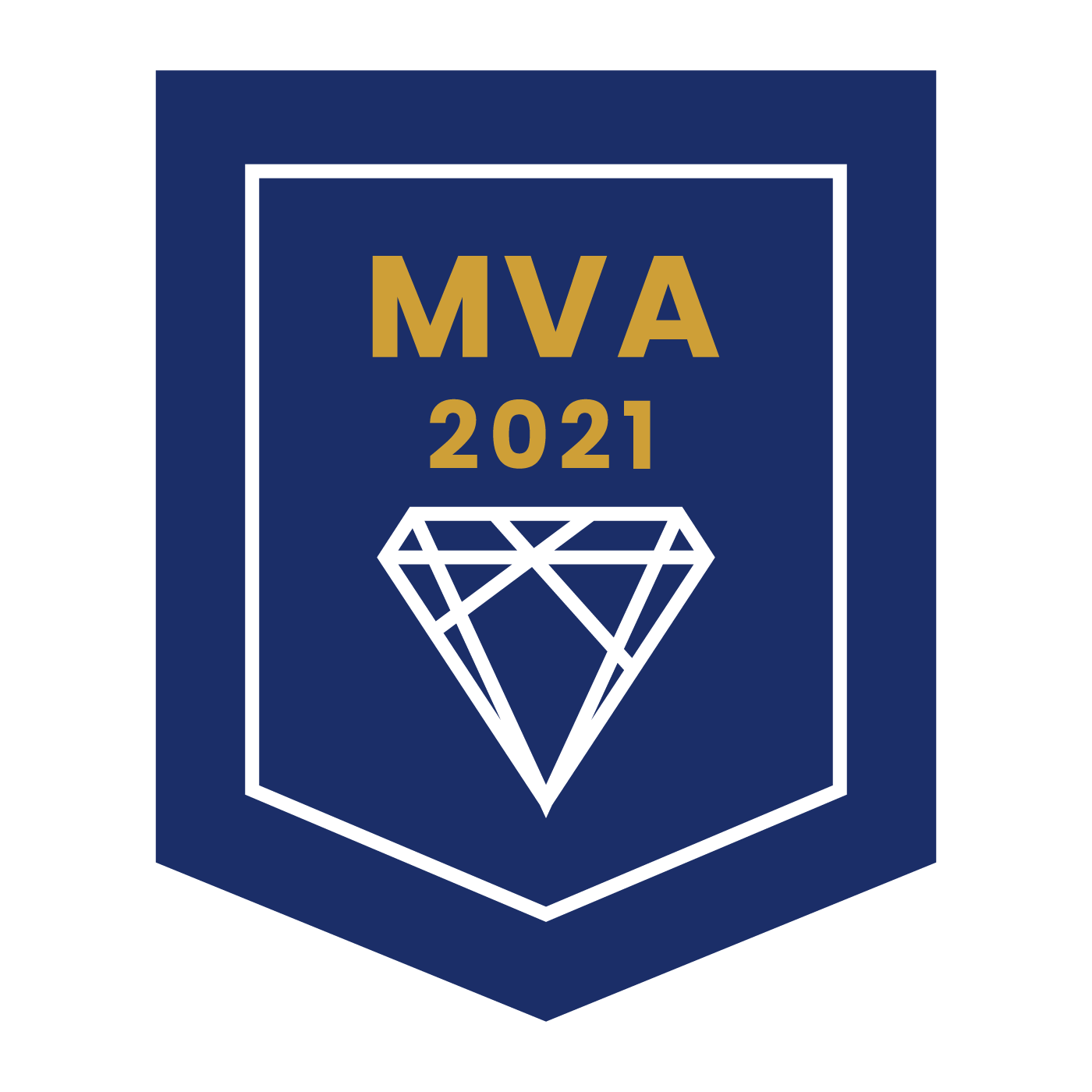 2021 年度 MVA