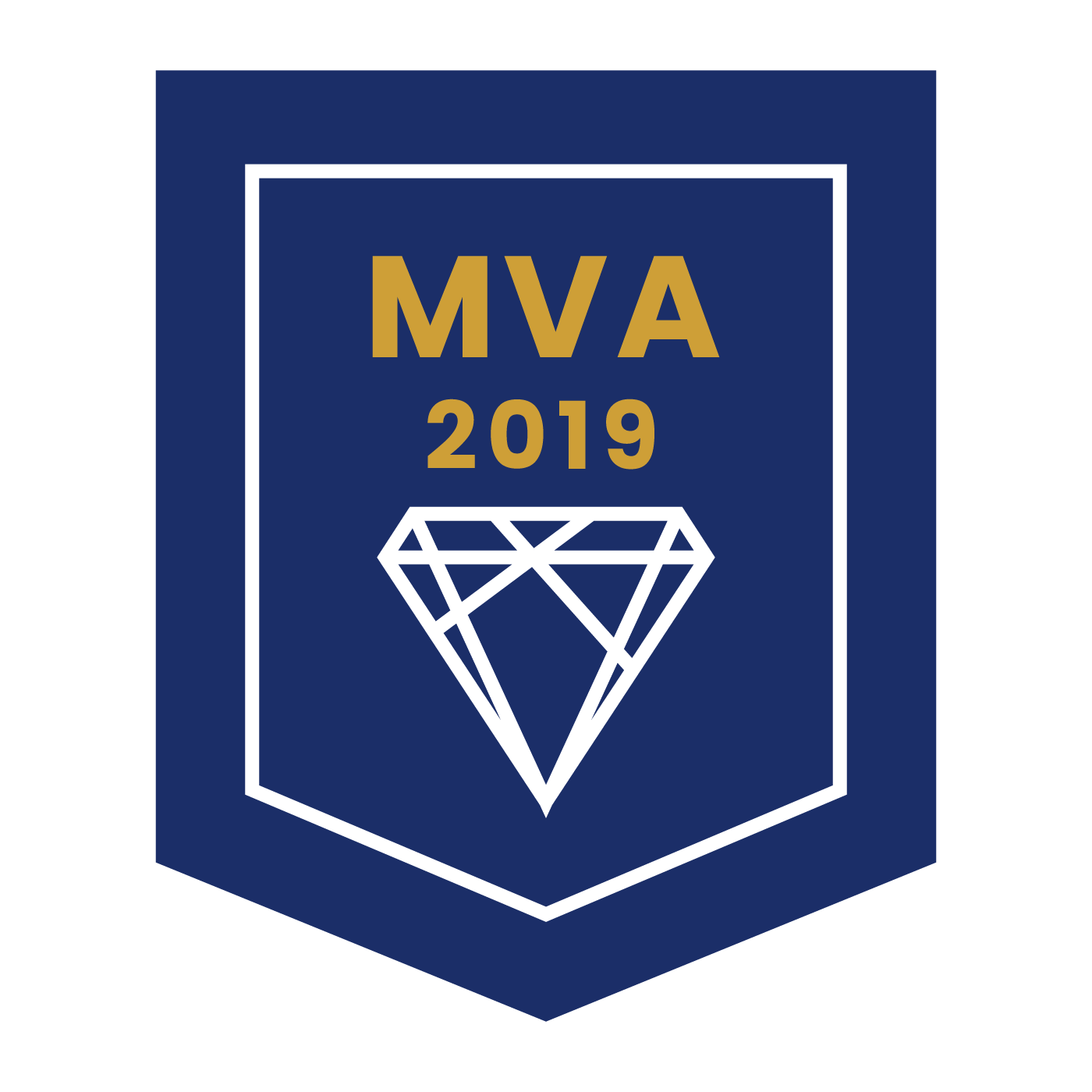 2019 年度 MVA